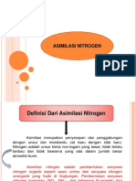 Presentation1 Asimilasi Nitrogen
