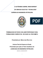 perfil_de_trabajo_de_grado_TERMINACION_D.docx