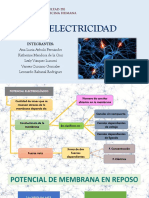 BIOELECTRICIDAD - SEMINARIO 11