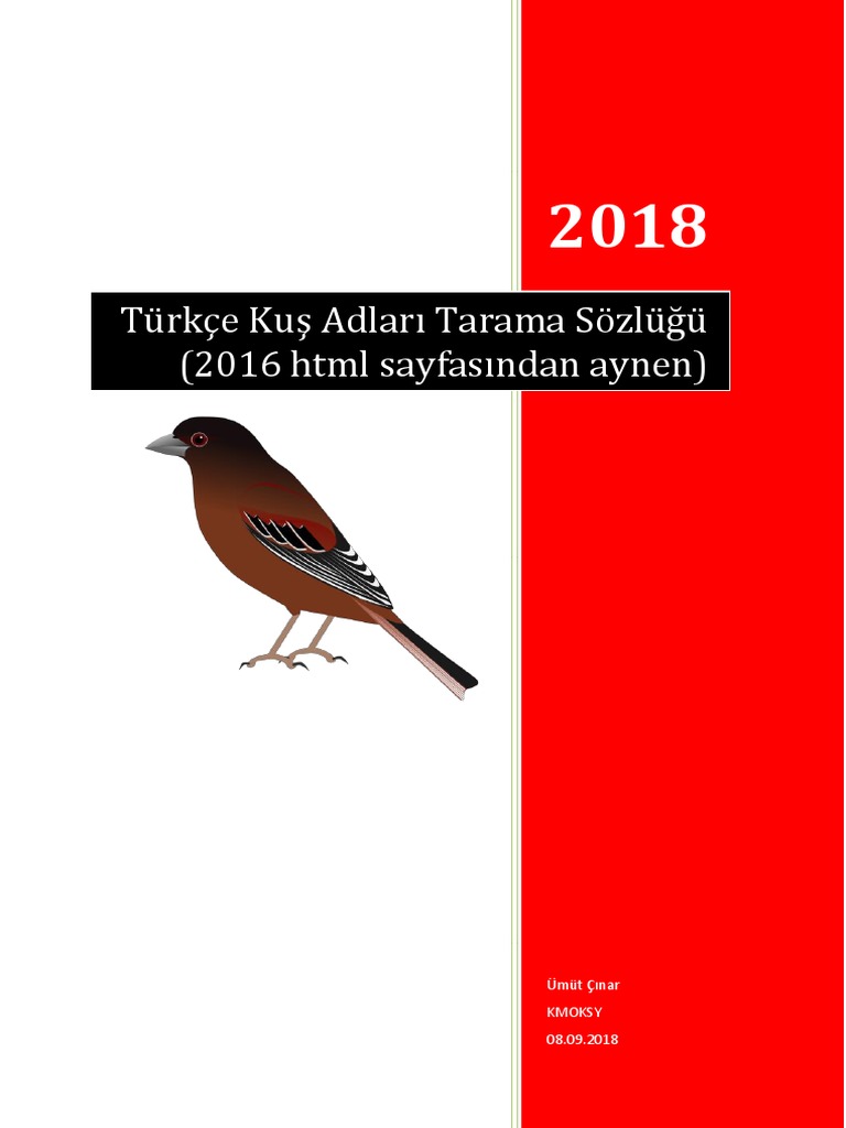 Cirnik Kelimesinin Anlami Nedir Cirnik Ne Demektir