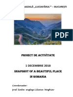 Proiect Activitate - Snapshot of A Beautiful Place in Romania