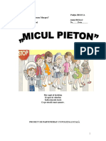 0_parteneriatmiculpieton (1).doc