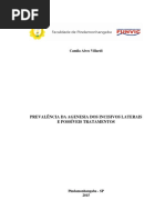 VILLARDICamilaAlves.pdf