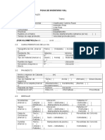 Ficha Inventario Vial