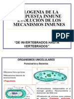 02-Órganos y Células Del Sistema Inmune