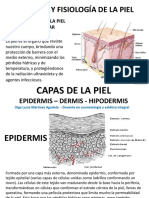 Anatomia y Fisioliogia de La Piel