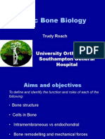 Basic Bone Biology. Presentation by Trudy Roach