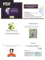 Aromaterapia - Uma Abordagem Sistematica e Multidisciplinar Na Estetica e Bem Estar Vanessa Spiassa