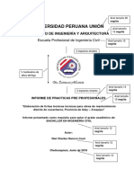 Formato PPP 2019 (1).docx