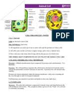 Cell Organelles - Notes