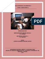 102038_6_TrabajoColaborativo1 (2).pdf