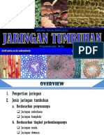 Jaringan Tumbuhan