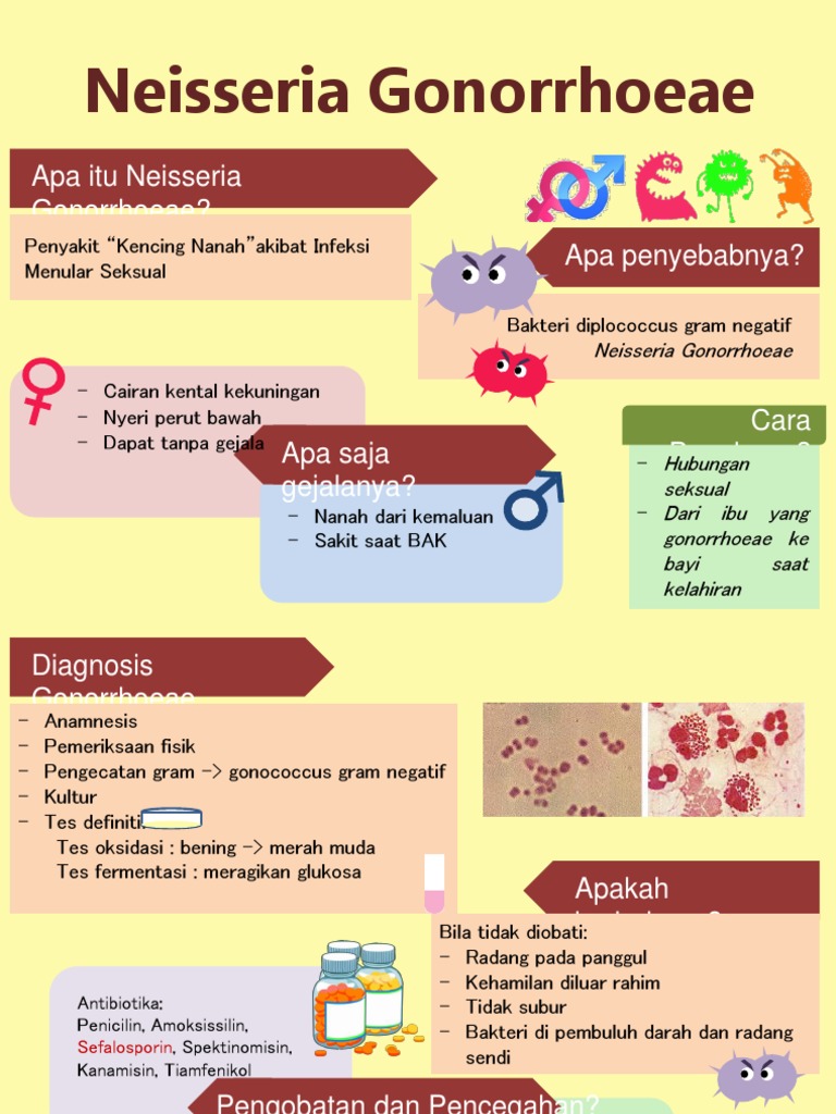 Diplococcus Gram Negatif - Gonorrhea