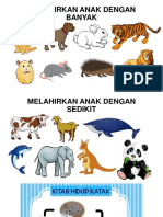 Kitaran Hidup Dan Melahirkan Anak