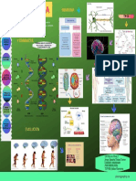Infografia Psicobiología PDF