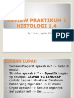 1. Review Praktikum Histologi 1 Blok 1.4 Remed