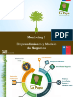 mentoringmodelodenegocios-121219143626-phpapp02.pdf