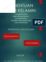 Penentuan Jenis Kelamin-Kelompok 3