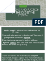 Divisions and Fuction of The Digestive System