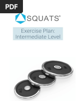 Exercise Plan: Intermediate Level