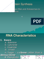 Protein Synthesis: How DNA Uses RNA and Ribosomes To Make Proteins