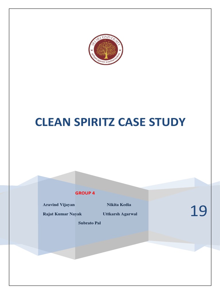 CleanSpritz Marketing Strategy Analysis | PDF | Retail | Brand