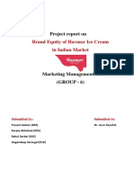 Project report on Brand Equity of Havmor Ice Cream in Indian Market