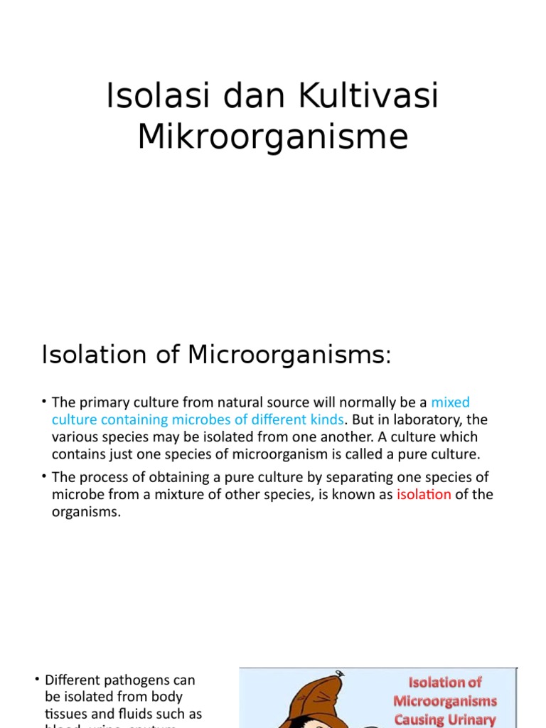 Microorganism Isolation and Cultivation Techniques | PDF | Growth ...