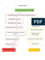 Pathway Benigna Prostat Hiperplasia Kasus 2