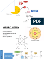 Grupo Hemo Exposicion