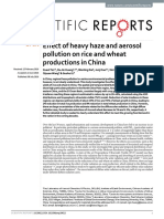Effect of Heavy Haze and Aerosol Pollution on Rice and Wheat Productions in China