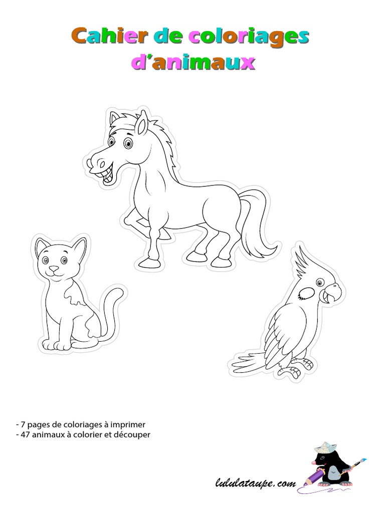Barnes and Noble Animaux Domestiques Livre de Coloriage: Images d'animaux  heureux à colorier pour les enfants à partir de 2 ans
