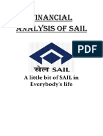 Financial Analysis of Sail: A Little Bit of SAIL in Everybody's Life