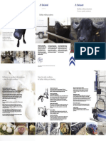 Buffalo Milk Production PDF