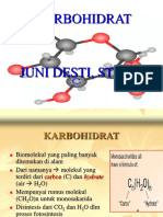 kARBOHIDRAT DESTY
