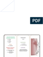 Trptico de Exportacion e Importacion_archivo