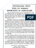 THE Mycoplasma (Pplo) Species of Animals Importance in Agriculture