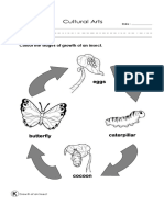 Stages of Insect Growth Coloring Activity