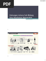 Hubungan Antara Sub Bidang Kesehatan Masyarakat-Meli PDF