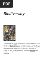 Biodiversity - Wikipedia