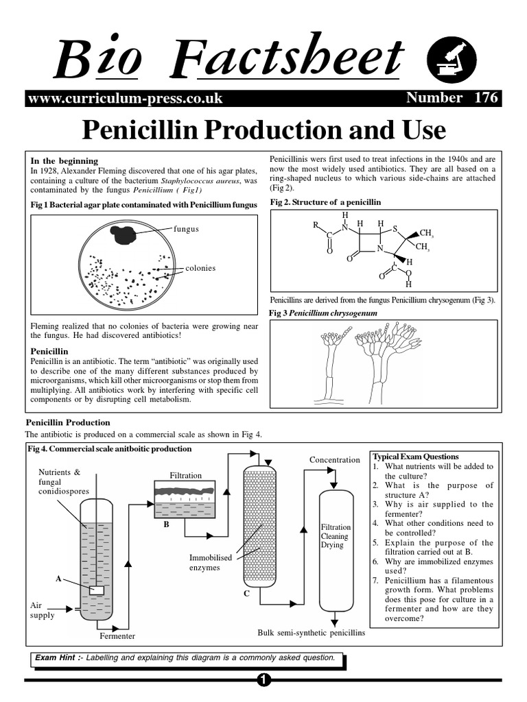 Calaméo - Penicillin No 22