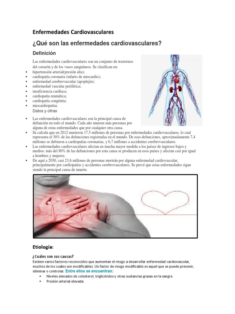 Definición de Enfermedades Cardiovasculares | PDF | Alergia | Diabetes ...