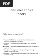 Consumer Choice Theory