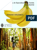 Cadena Productiva Banano 08062019