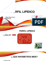 Perfil Lipídico DIAPOSITIVAS