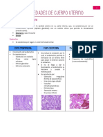 P10 Sistema Reproductor Femenino III Cuerpo Uterino Dra. Mohs