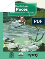 Guia ilustrada de los peces del Río Porce