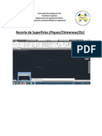 Pique PDF