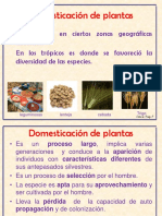 Domesticación de Las Plantas 2019
