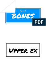 BONES (For Annotation)